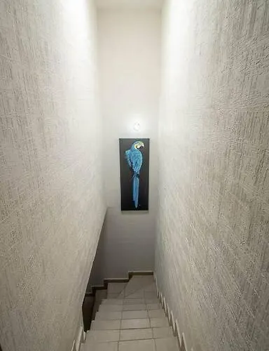 Apartment Cozy House In